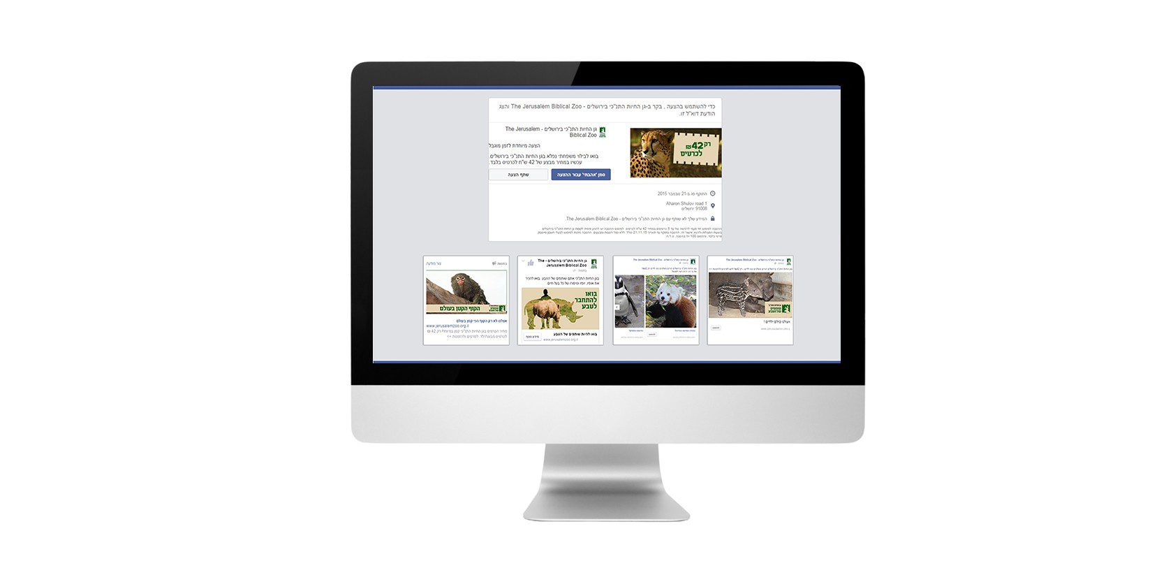 פעילות פייסבוק